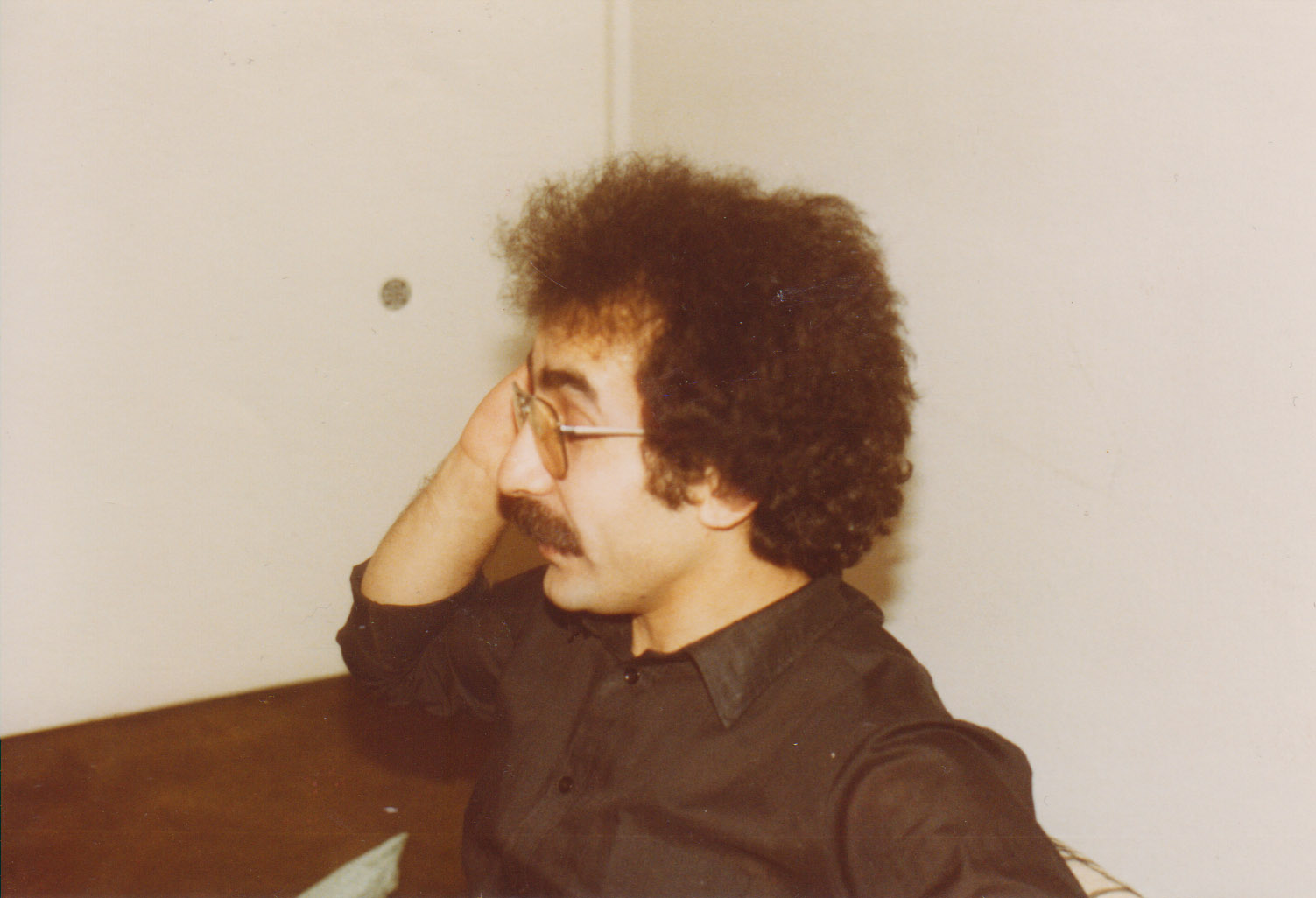 V Bonnu 1981