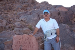 Mount Sinai - 2016 - 4